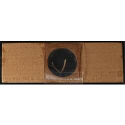 Underside of wooden microslide containing bryozoan specimen,