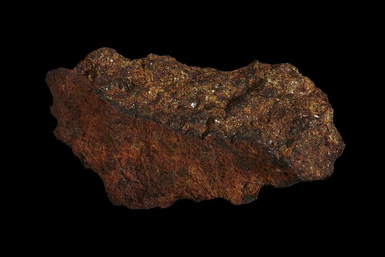 Wiluna Meteorite. [E 12304]