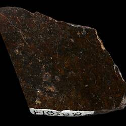 Forrest 002 Meteorite. [E 18568]