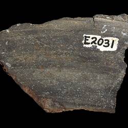 Alamogordo Meteorite. [E 2031]