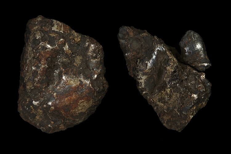 Estherville Meteorite. [E 4959]