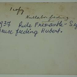 Back of photograph with handwritten cursive text in black and blue ink.