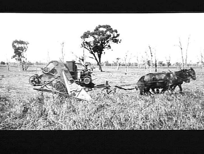 8TH ENDINE FUNCTIONED HARVESTER ON MR MCPHERSON'S FARM BERRIGAN