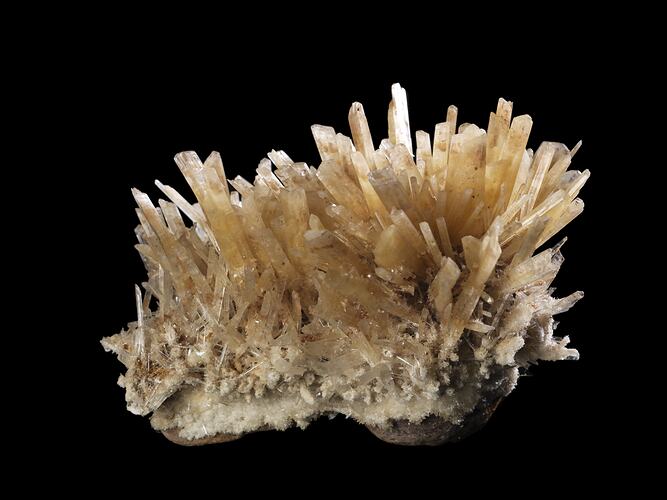 Cluster of flat, straight, creamy crystals.