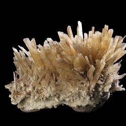 Cluster of flat, straight, creamy crystals.