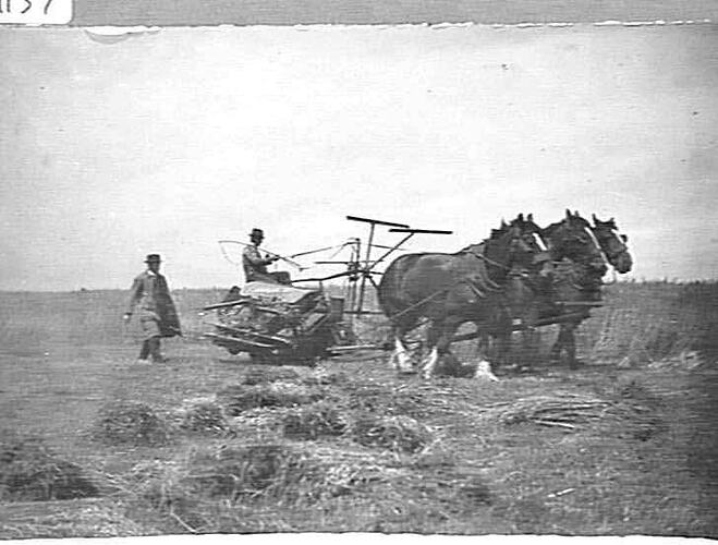Photograph - H. V. McKay factory and/or equipment