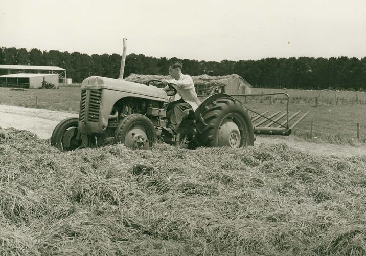 Man driving a tractor with a buck rake attached, in a field of cut hay.