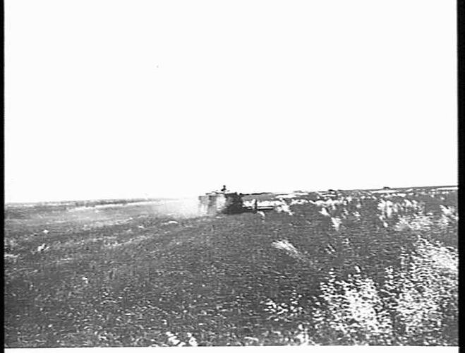 JOHN FLEGLER JNR IRON GATE VIA PITTWORTH QLD DOWN AND TANGLED CROP YIELDING 10 BAGS PER ACRE 1920 ACRES UNDER CROP ONE 10FT AND TWO 8 FT AND ONE AUTO HEADER