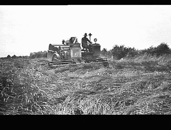 GADD, ASHBURTON, N.Z.: JAN 1934
