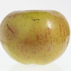 Wax model of an apple painted green with red flecks.