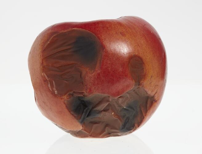 Wax apple model painted red with heavily pitted areas in brown and black.