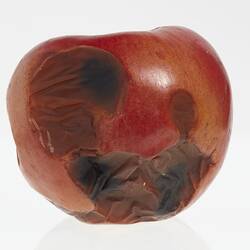 Wax apple model painted red with heavily pitted areas in brown and black.