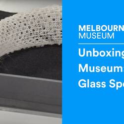 Unboxing the Museum: Glass Sponge
