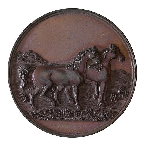 Medal - General Purpose Agricultural Bronze Prize, c. 1875 AD