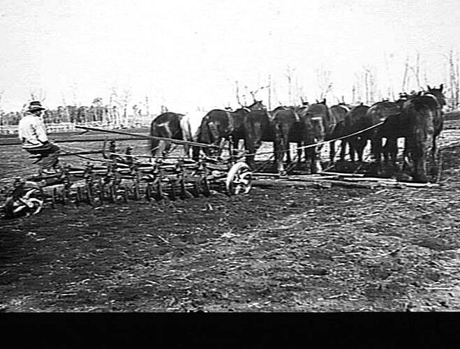 Photograph - H. V. McKay factory and/or equipment