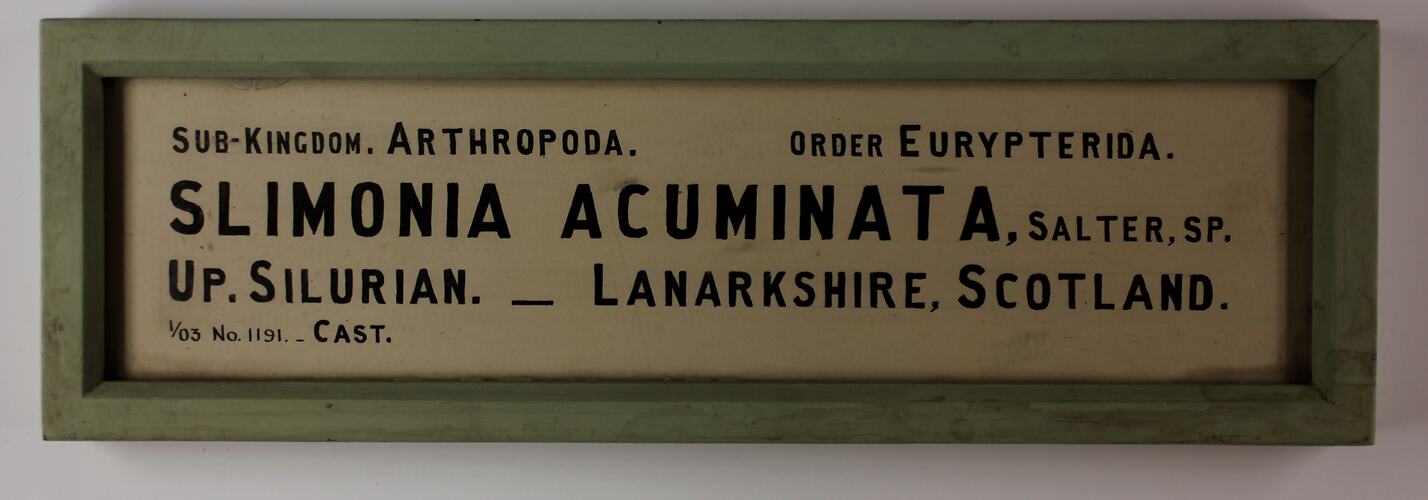 White rectangular label with black text and painted green frame.