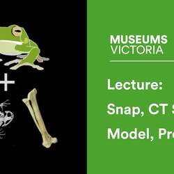 Museum Lecture: Snap, CT Scan, Model, Predict