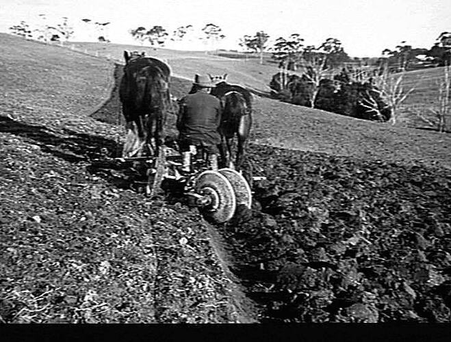 `SUNGRADE' AT WORK ON MR. A. HUTCHINSON & SONS, POOWONG NORTH. JUNE 1933