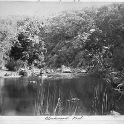 Photograph - 'Blackwood Pool', by A.J. Campbell, Werribee Gorge, Victoria, Nov 1896