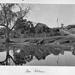 Photograph - 'Near Eltham', by A.J. Campbell, Victoria, circa 1905