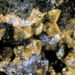 Segnitite