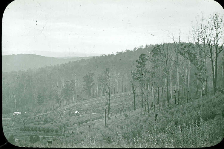 Lantern Slide - Sassafras Valley, Dandenongs, Victoria, 1905. [BA 1633]