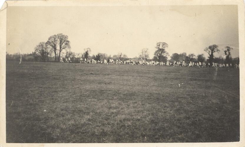 Grass field with crowd of people running in distance, row of trees in background.
