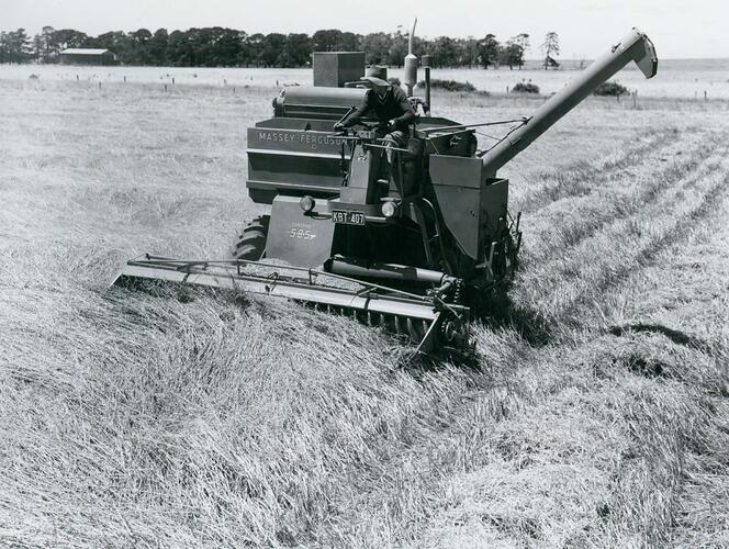 Front view of man driving harvester in field.