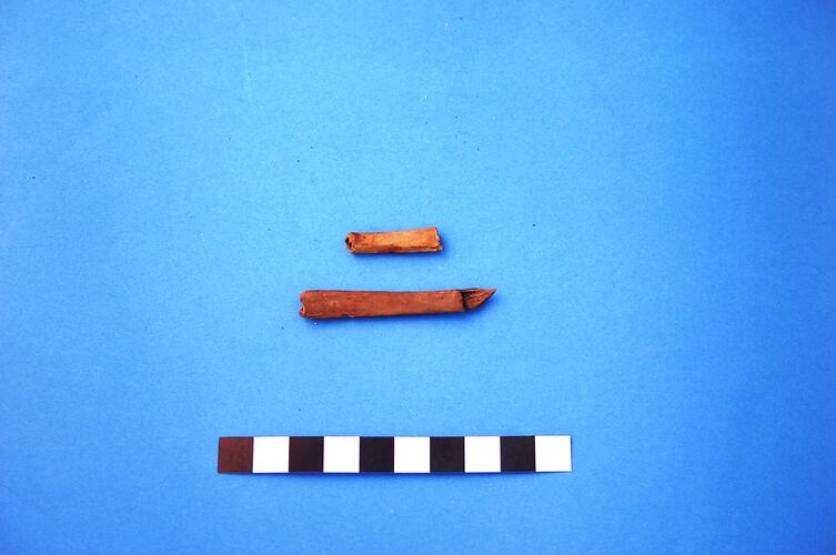 Two fragments of bone from medium-sized mammal.