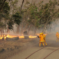 Digital Photograph - 'CFA at the fire front', Black Saturday Bushfires, Strathewen, 7 Feb 2009
