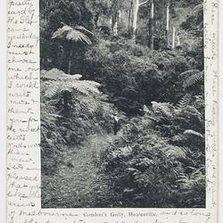 Postcard - Condun's Gully, Healesville, To J. B. Scott from Marion Flinn, Melbourne, 27 Apr 1904