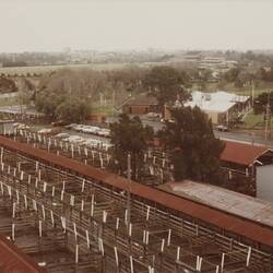 Digital Photograph - Aerial View of Newmarket Saleyards From Clock Tower Looking West, Newmarket, Sep 1985