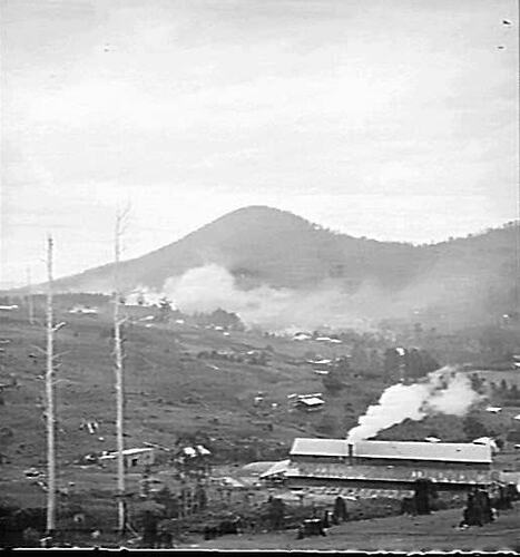 Enterprise Sawmill, Warburton, Victoria, circa 1920s