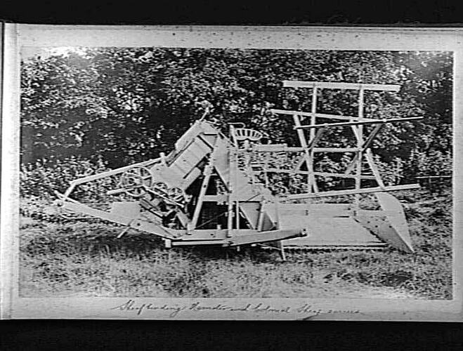 Photograph