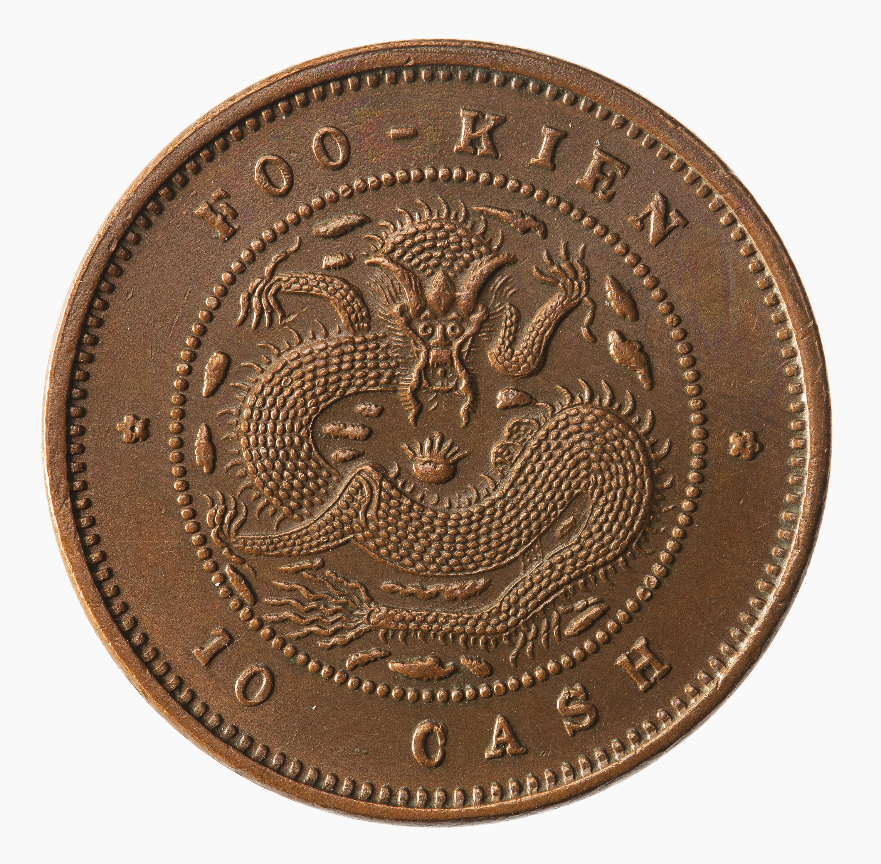 ビカクシダ キナ#10 Kina #10 ビカクシダ キナ#10 Kina #10