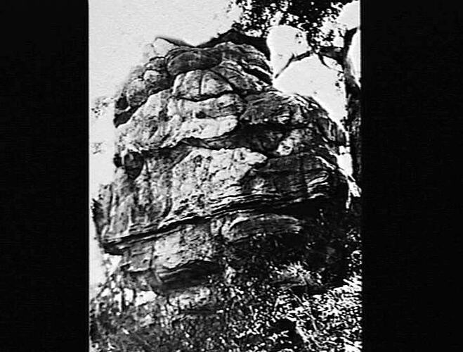 Photograph