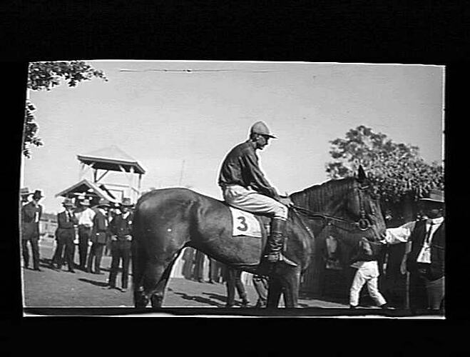 Negative - Racehorse at Country Race Meeting