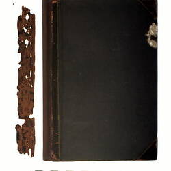 "ALBUM OF WAX FRUIT MODELS"