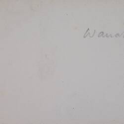 Back of photograph of New Zealand by Walter Baldwin Spencer, 1906/7