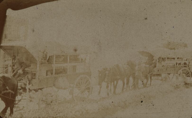 Horse-drawn Ambulances With Wounded Soldiers