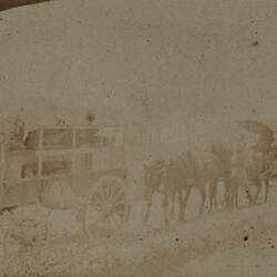 Photograph - Horse-drawn Ambulances With Wounded Soldiers, Egypt, World War I, 1915-1916