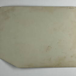 Blank back of photograph.