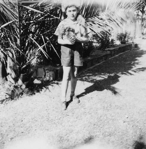 Boy standing in garden.