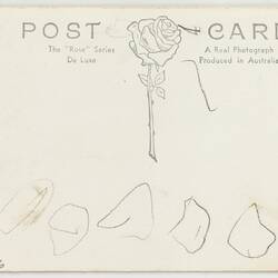 White back of a 'Rose Series' postcard. Rose logo printed in grey.