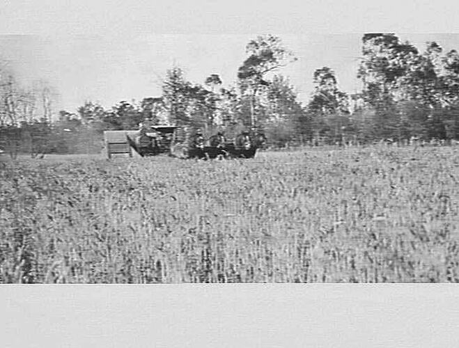 TAKEN AT THOMPSON BROS, TRUNDLE N.S.W.