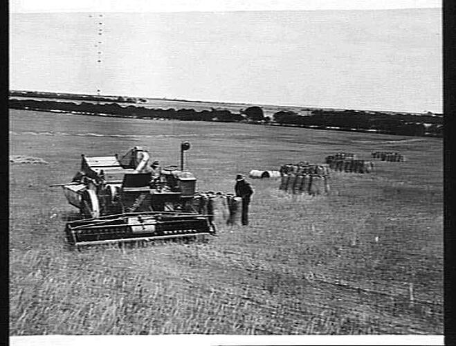 AUTO HEADER WITH `SUNSAVER' ON MR. H. MAY'S FARM, YORKETOWN: DEC 1929