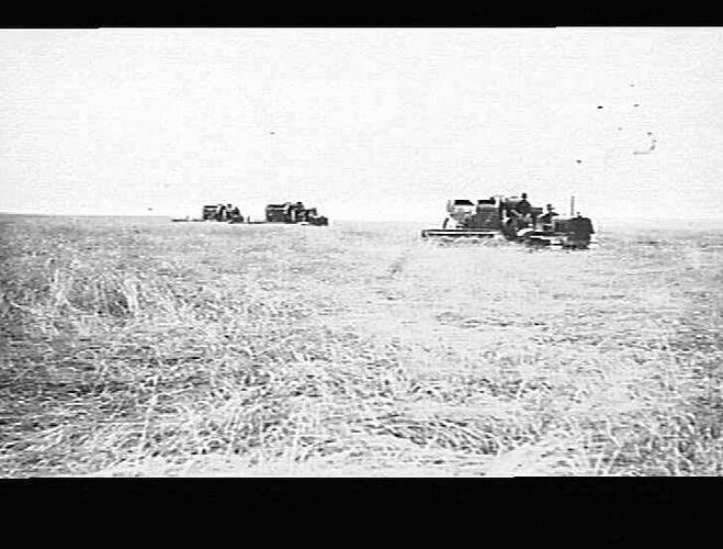 JOHN FLEGLER JNR IRON GATE VIA PITTWORTH QLD DOWN AND TANGLED CROP YIELDING 10 BAGS PER ACRE 1920 ACRES UNDER CROP ONE 10FT AND TWO 8 FT AND ONE AUTO HEADER