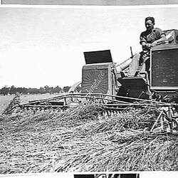 Photograph - H.V. McKay Massey Harris, Farm Equipment Manufacture & Field Trials, Murtoa, Victoria, Feb 1931