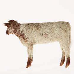 Model of white calf with brown head, shoulders and hooves. Left profile.