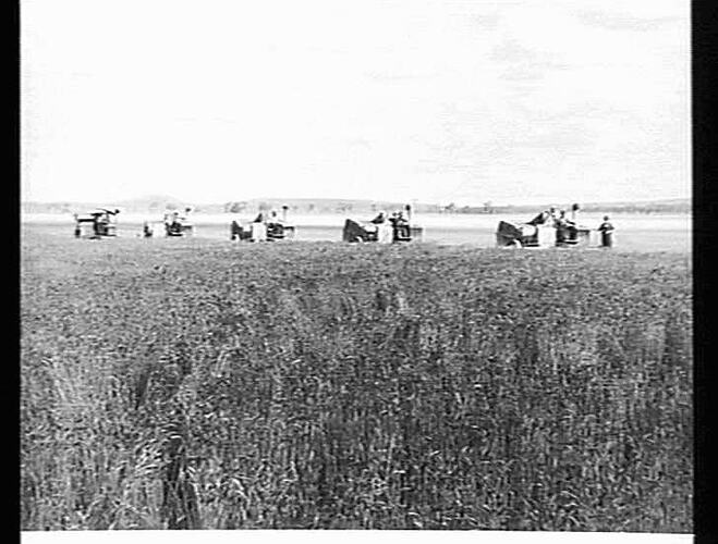 5 AUTOS (2-14 FT & 3-12 FT) ON MAIN FAMILY FARM GUNNEDAH N.S.W. DEC 1938, J.L.MAIN, R.G.MAIN, N.L.MAIN.